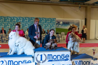 Bergamo, İtalya - 14 Ekim 2018: Chıuduno kasaba safkan köpekler otuz beşinci sergisi gerçekleşti. Son değerlendirme göreli ödül ile 8 gruplarının. Brambilla Simone canlı haber fotoğrafçı