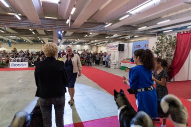 Bergamo, İtalya - 14 Ekim 2018: Chıuduno kasaba safkan köpekler otuz beşinci sergisi gerçekleşti. Son değerlendirme göreli ödül ile 8 gruplarının. Brambilla Simone canlı haber fotoğrafçı