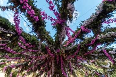 Montisola adasında Montisola çiçek festivali, Monte Isola (B