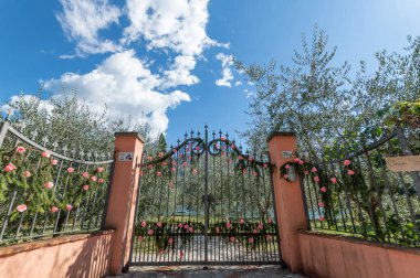 Montisola adasında Montisola çiçek festivali, Monte Isola (B