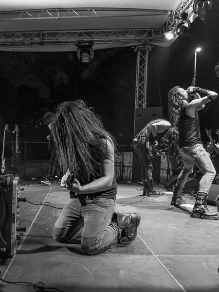 Furor Gallico au Pollo Metal Fest 2019 (BG ) — Photo