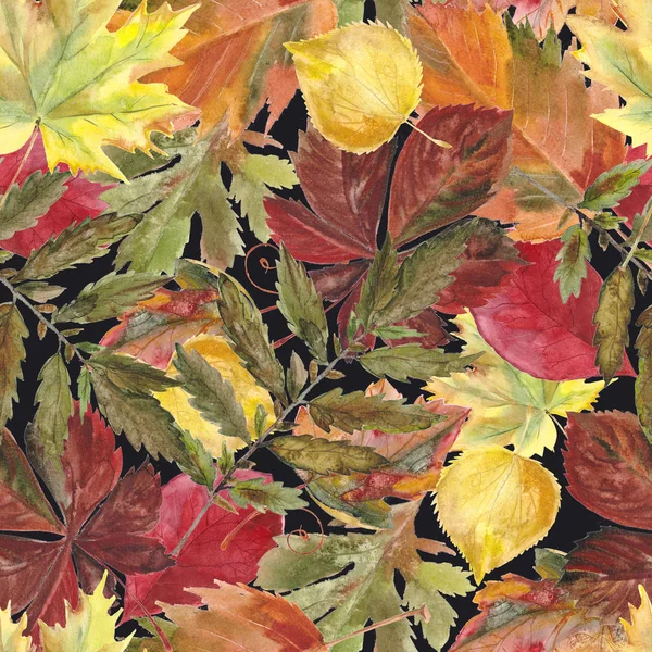 Watercolor seamless background leafs. Autumn