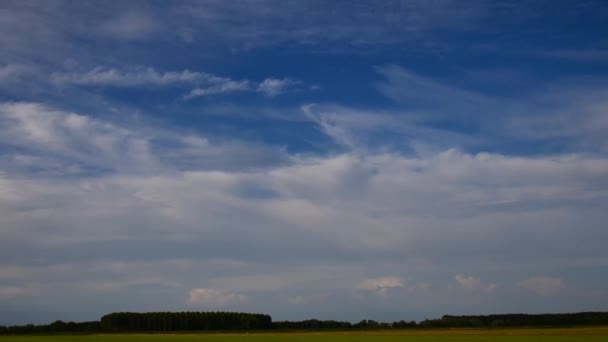 Feld von grünem Aufstieg und bewölktem Himmel — Stockvideo