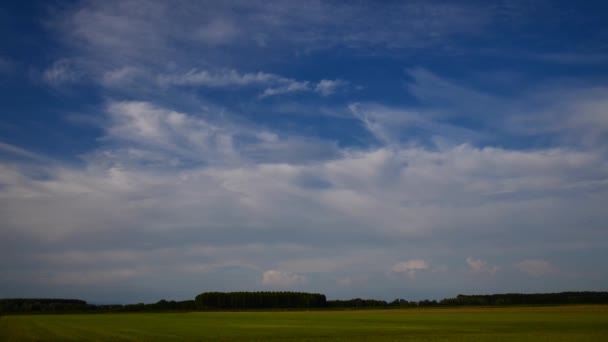Champ de lever vert et ciel nuageux — Video