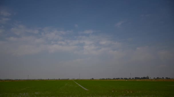 Campo de verde subida y cielo nublado — Vídeo de stock