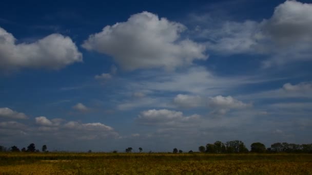 Timelapse Moln Över Det Gröna Fältet Italien Full — Stockvideo