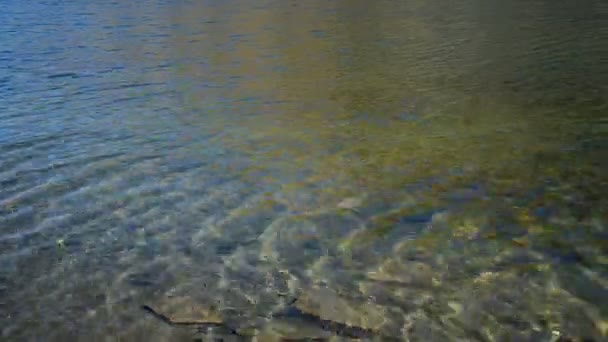 ゲームをスキップの石のクローズ アップ。跳ね返る水の表面水の体の間で何度も小さな平たい石を投げると、最後に湖に沈んでの美しい景色,. — ストック動画