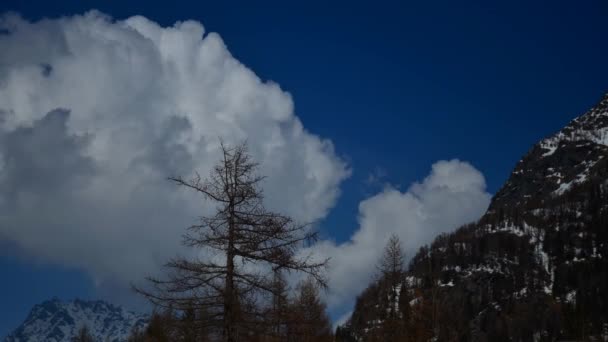 Ceresole (Torino), Włochy-5 kwietnia 2012: spojrzenie na Park Narodowy wielkiego raju — Wideo stockowe