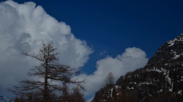 Ceresole (Torino), Italia - 5 de abril de 2012: vislumbre del parque nacional del gran paraíso — Vídeo de stock