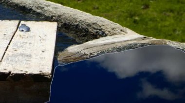 Sinemagraf. Yaz doğa dağ ormanı göl manzara,