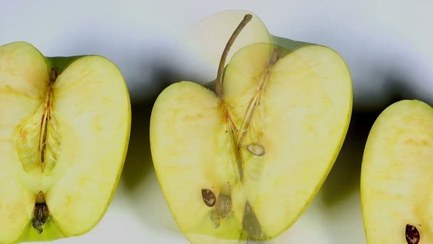 Pommes mûres gâtées pourries multicolores — Video