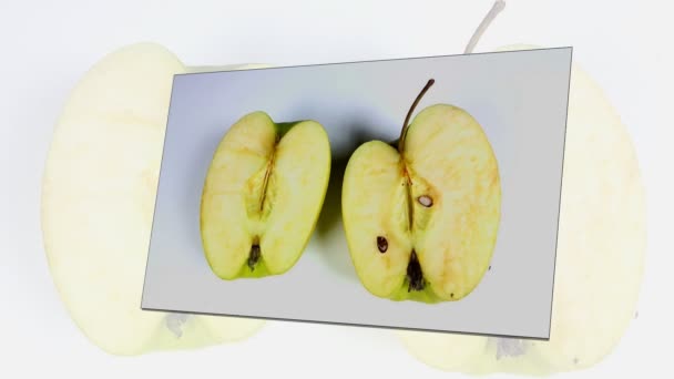 Mångfärgade ruttna bortskämd mogna äpplen — Stockvideo