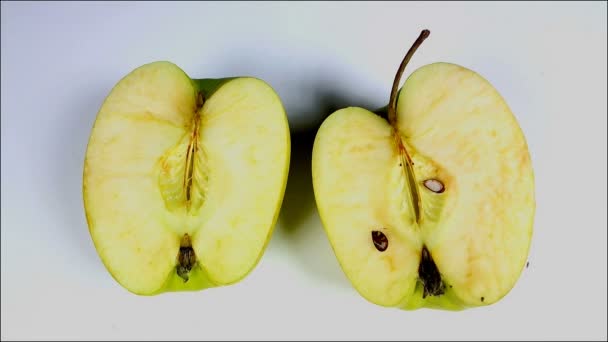 Mångfärgade ruttna bortskämd mogna äpplen — Stockvideo