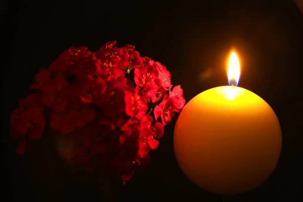 Dua ve umut kavramı. Retro mum ışığı ve kırmızı çiçek. — Stok fotoğraf
