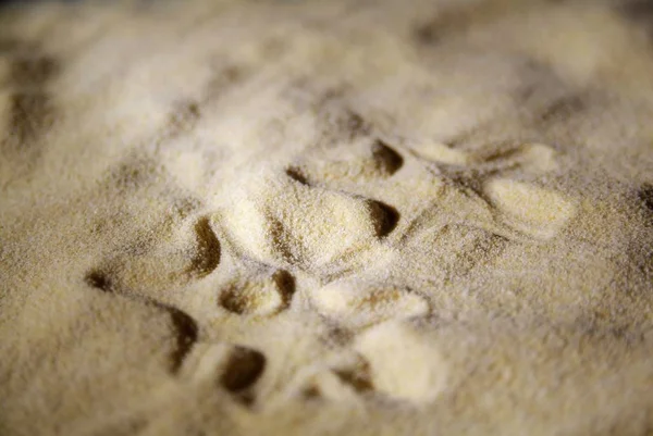 Tropikal plajda kabukları, arka plan