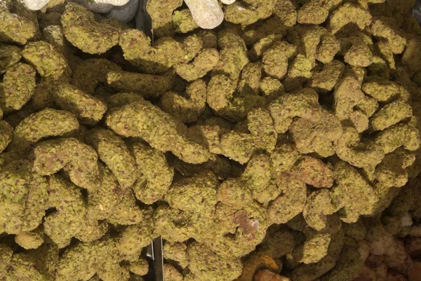 Fındık ile Geleneksel Piedmont çerezleri