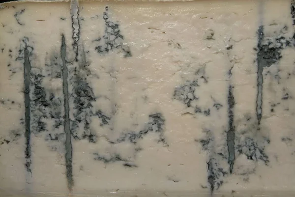 Formları ile taze peynir ahşap masanın üzerine yaptı.