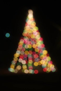 Çok renkli ışıklar ile Noel ağacı