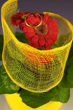 Görünür fib ile renkli bir ağa sarılmış haddelenmiş çiçek Makro