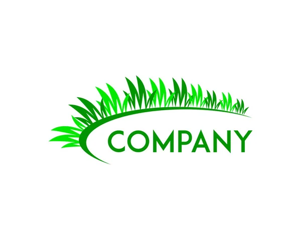 Gras Logo Design Vorlage — Stockvektor