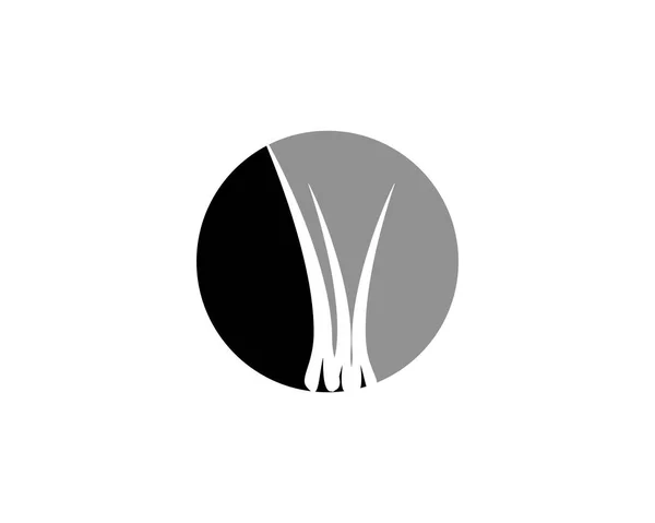Modèle Logo Cheveux Vectoriel Icône Illustration Design — Image vectorielle