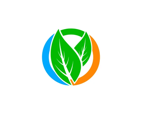 Zelený List Příroda Kruh Vektor Logo Design Šablony — Stockový vektor