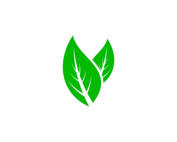 Leaf Logo Template Leaf Logo — Stock Vector