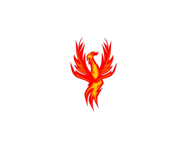 Vorlage Für Das Design Des Phoenix Logos — Stockvektor