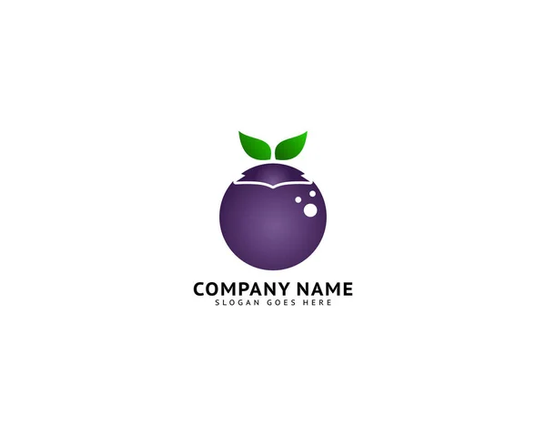 Blueberry Logo Wektor Szablon Ikona Ilustracja Projekt — Wektor stockowy