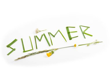 alışılmadık kelime yazma Yazı