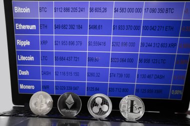 Bir defter üzerinde paralar - bitcoin, litecoin, dalgalanma ve ethereum vardır. Not defteri ile mavi arka plan ile fiyat kripto para birimleri grafiğin arka plan üzerinde monitördür.
