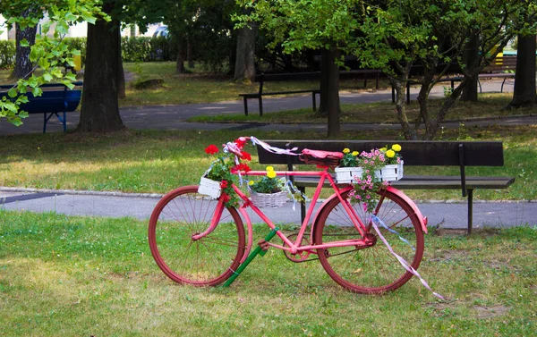 Bir Süs Saksı Tezgah Park Olarak Pembe Bisiklet — Stok fotoğraf