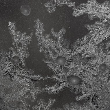 Siyah arka plan ile gümüş penceresinde. Donmuş su penceresinde gümüş güzel odecoration süsler oluşturur.