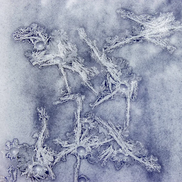 Beyaz mavi arka plan ile gümüş penceresinde. Donmuş su penceresinde gümüş güzel odecoration süsler oluşturur.