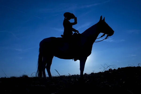 Silhouette cowgirl on horse at sunset in blue (5)