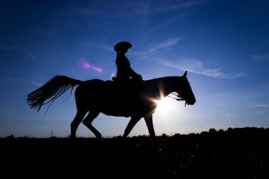 Mavi (11 gün batımı at at üzerinde siluet cowgirl)