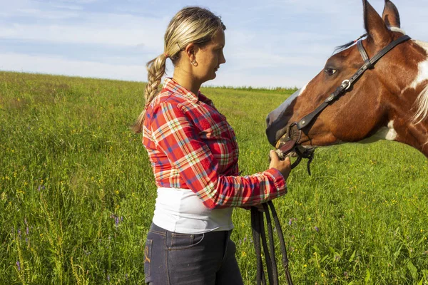 Young girl looks at her horse in grass — Stock Photo, Image