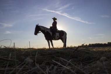 Günbatımı at at Silhouette cowgirl