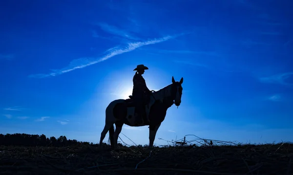 Silhouette cowgirl on horse at sunrise in blue (3) — Stock Photo, Image