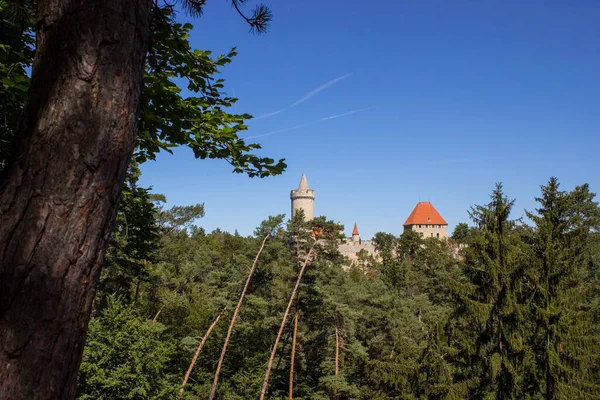 Вид Замок Кокорін Чеській Республіці — стокове фото