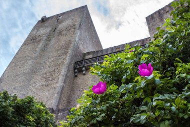 Çek Cumhuriyeti 'ndeki Landstejn Kalesi' nin tarihi kulesi.