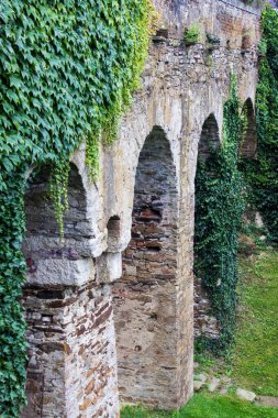 Vranov Nad Dyji Kalesi 'ndeki tarihi köprünün sütunları sarmaşıkla kaplandı.