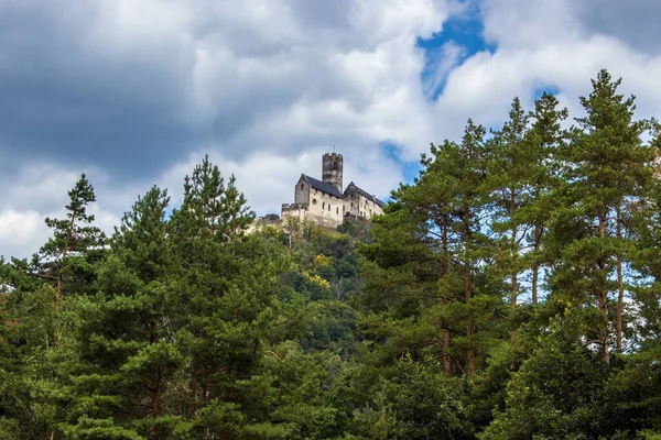 Panoramiczny Widok Zamek Bezdez Republice Czeskiej Pierwszym Planie Drzewa Tle — Zdjęcie stockowe