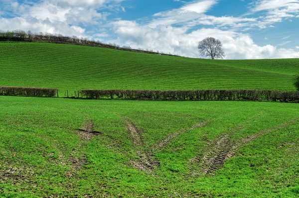 Hellend veld met trekker banden merken. — Stockfoto