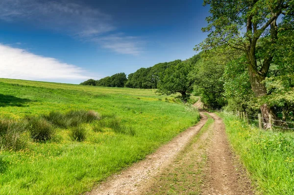 A track running alongside a meadow and woodland. — Stock Photo, Image