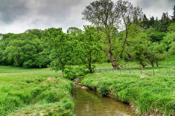 Um córrego que flui através do campo exuberante e verde . — Fotografia de Stock