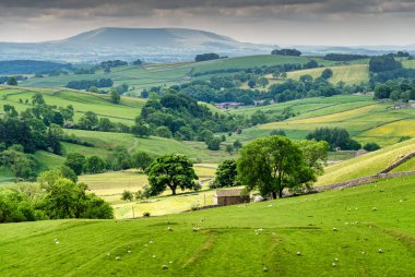 Yorkshire Dales Malham yakınındaki bir görünümünü.