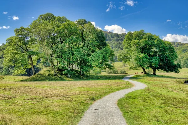 Uma pista de campo que leva a um stand de árvores em coutryside Inglês . — Fotografia de Stock