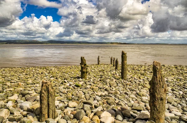 A row of eroded wooden posts on a pebbly beach. — Stock Photo, Image