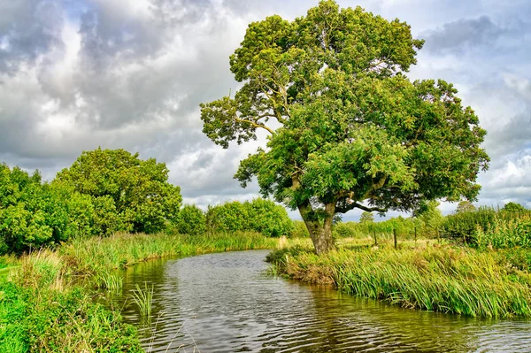 Een stroom die stroomt door typisch Nederlands landschap. — Stockfoto